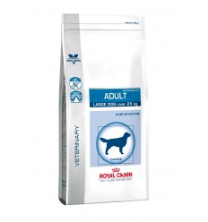 VCN ADULT LARGE DOG