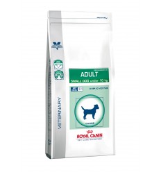 VCN ADULT SMALL DOG