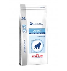 VCN PED junior LARGE DOG 
