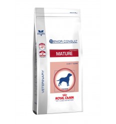 VCN SC MATURE MEDIUM DOG