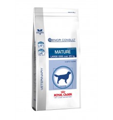 VCN SC MATURE LARGE DOG