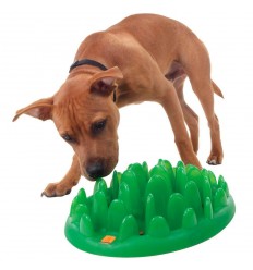 GREEN comedero antiglotones para perros