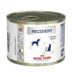 Royal Canin VD CANINE-FELINE RECOVERY Húmedo