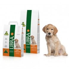 LIBRA dog puppy