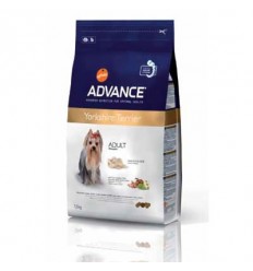 ADVANCE YORKSHIRE TERRIER