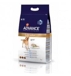 ADVANCE LABRADOR