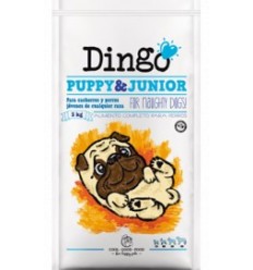 Dingo Cachorros 