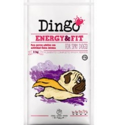 Dingo Adult & Daily