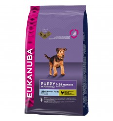 Eukanuba Puppy & Junior Razas Grandes 