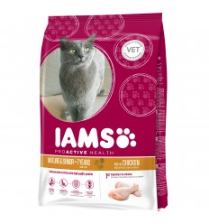 Iams Gato Senior & Mature Pollo