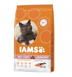 Iams Gato Salmon