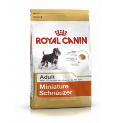 Royal canin SCHNAUZER MINI ADULT