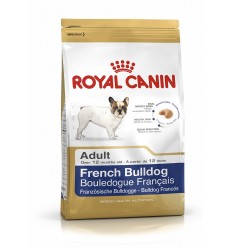 Royal canin BULLDOG FRANCÉS ADULT
