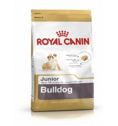 Royal canin BULLDOG INGLÉS JUNIOR
