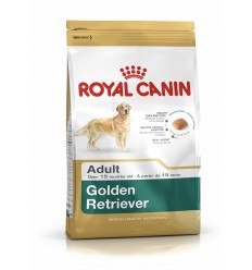 Royal canin GOLDEN RETRIEVER ADULT