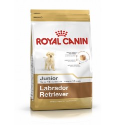 Royal canin LABRADOR RETRIEVER JUNIOR