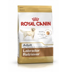 Royal canin LABRADOR RETRIEVER ADULT
