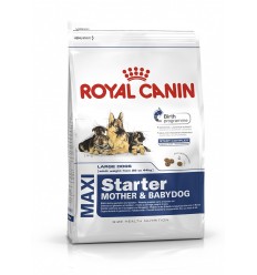 Royal canin MAXI STARTER