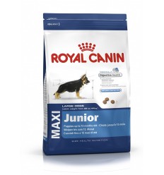 Royal canin MAXI JUNIOR
