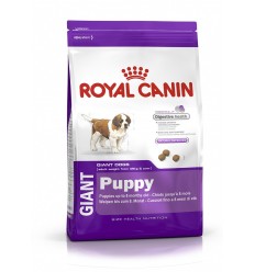 Royal canin GIANT PUPPY