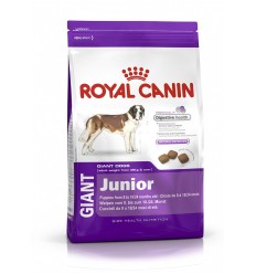 Royal canin GIANT JUNIOR