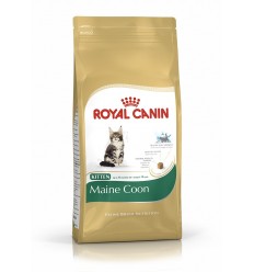 Royal canin KITTEN MAINE COON 36