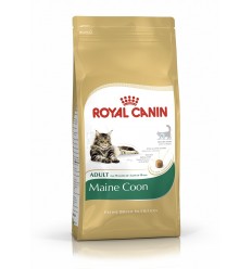 Royal canin MAINE COON 31