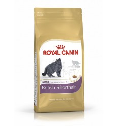Royal canin BRITISH SHORTHAIR 34