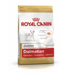 Royal canin DALMATIAN JUNIOR 25 Dalmata