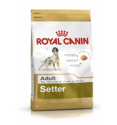 Royal canin SETTER 27