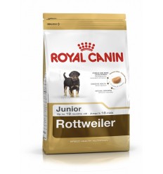 Royal canin ROTTWEILER JUNIOR 31