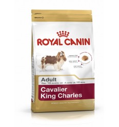 Royal canin CAVALIER king Charles 27