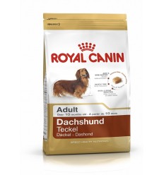 Royal canin DACHSHUND 28 Teckel