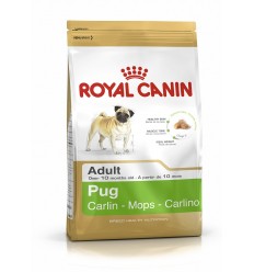 Royal canin PUG 25 Carlino