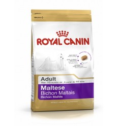 Royal canin MALTESE 24 Bichón Maltés