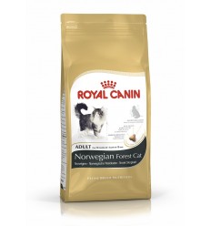 Royal canin NORWEGIAN FOREST CAT