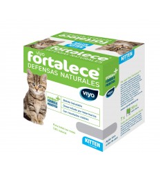 Viyo Fortalece Gato Kitten
