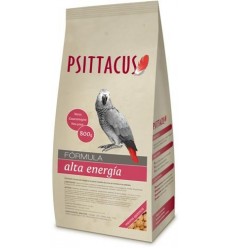 Psittacus Pienso de Mantenimiento ALTA ENERGÍA