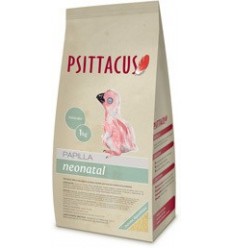 Psittacus Papilla NEONATAL