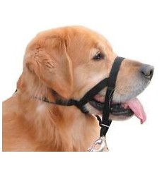 Collar Halti Negro