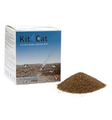 Arena Gato Natural Kit4Cat