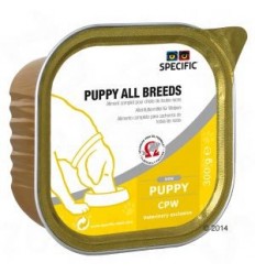 Specific CPW Puppy All Breeds