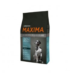 Maxima Maxi Adult