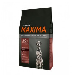 Maxima Medium Adult