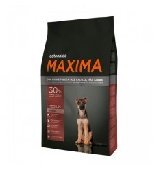 Maxima Medium Junior