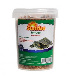 Sunrise Gammarus 