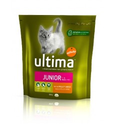 Affinity Ultima Cat Junior