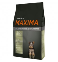 Maxima Mini Junior