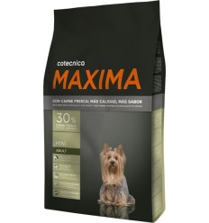 Maxima Mini Adult