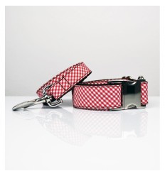Brott collar y correa Maians